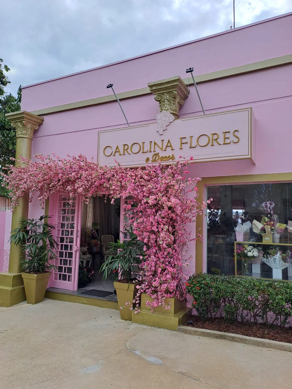 Buquês e presentes Carolina Flores